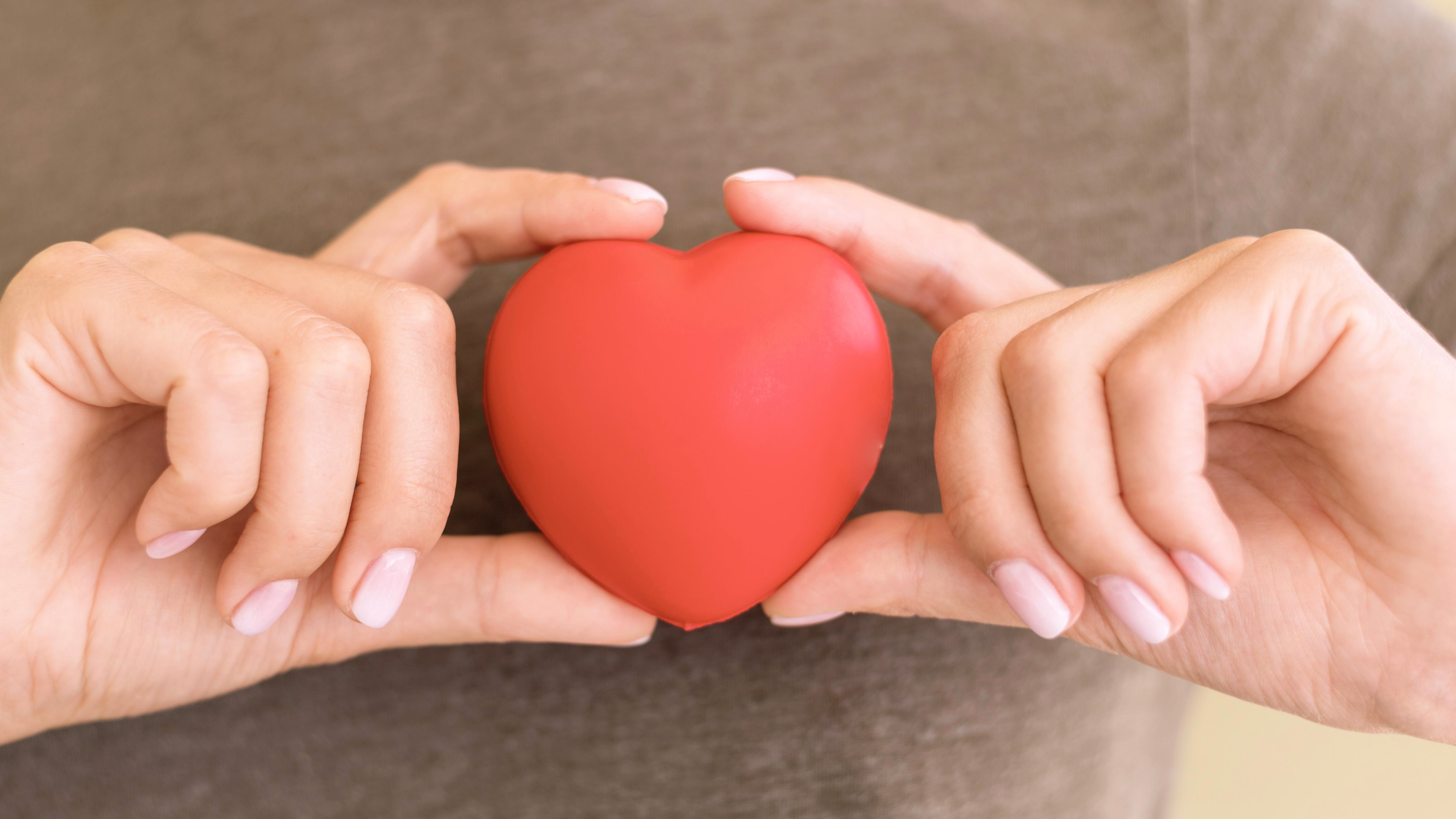 Бош България подкрепи над 20 благотворителни каузи през 2023 | Бош в ...